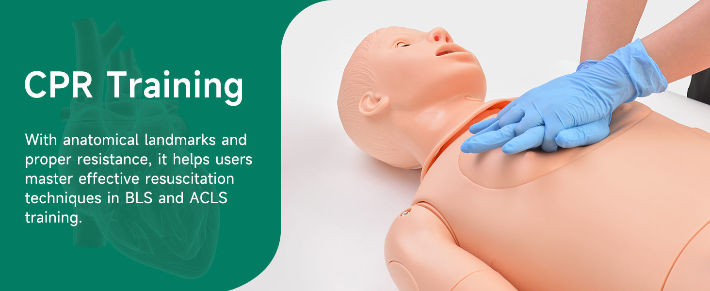 {"default":"Medical Training Manikin Support CPR Training"}
